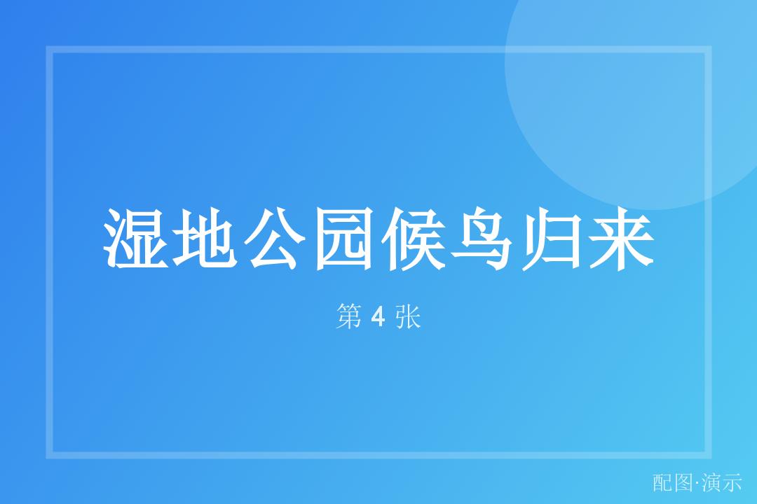 清晨的第一缕光（演示）
