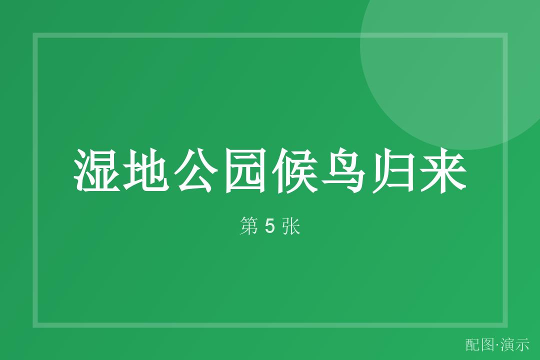 人群里的笑脸（演示）