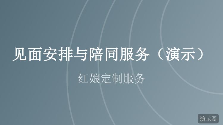 见面安排与陪同服务(演示)