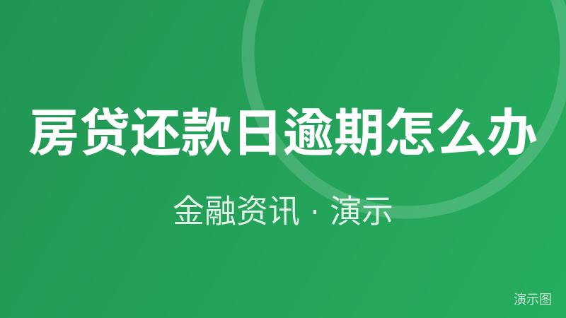 房贷还款日逾期怎么办(演示) 房贷还款日逾期怎么办(演示)