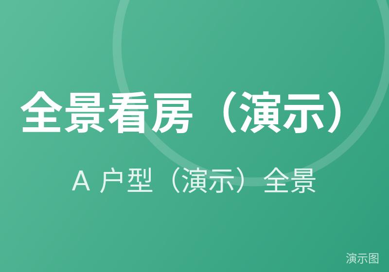 A 户型（演示）全景