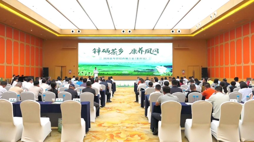 “锌硒茶乡·康养凤冈”招商引资推介会在重庆举行